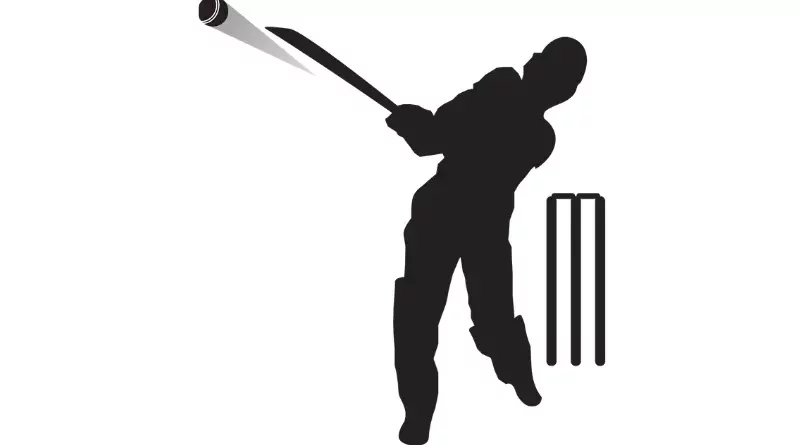 Introduction to Cricket scoophint