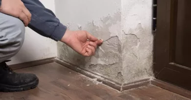 Treat Damp Walls scoophint